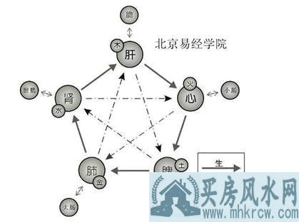 五行的生克法则