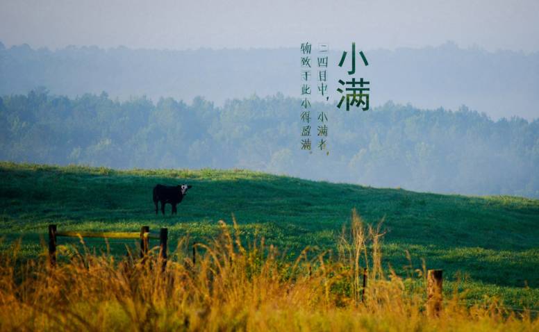 小满的寓意 小满的寓意和象征 小满代表什么意思