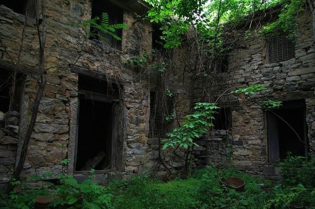 ���Ŵ���ʵ�����¼�