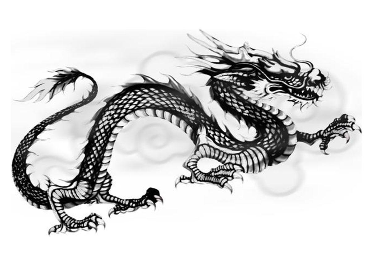 2024龙是木龙还是火龙 2024龙是木龙还是火龙青龙