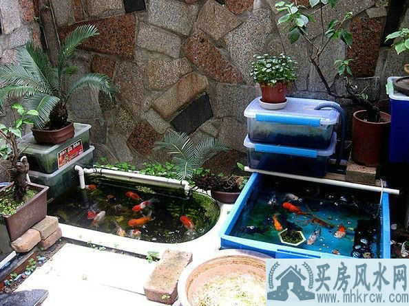 富人们必备使用的风水 实在是太全了很实用