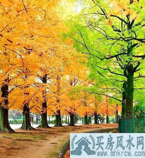 富人们必备使用的风水 实在是太全了很实用