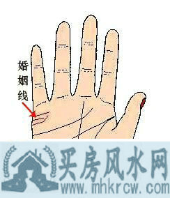 ���� û�л�����