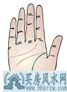生命线分叉 生命线分叉