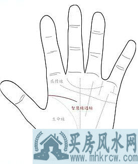 智慧线很短或中断,代表没脑筋吗? 智慧线很短或中断,代表没脑筋吗?