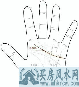 �����߸��ӣ���������ܿ����� 