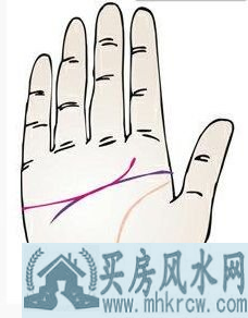 ǻصԤʾʲô
