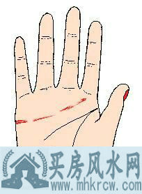 感情线断断续续或呈碎裂状 感情线断断续续或呈碎裂状