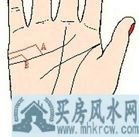 ����������Ԥʾ��ʲô��