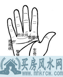 �������һ��˵ļ�������