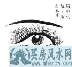 女性面相算命图解