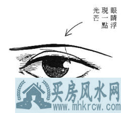 女性面相算命图解