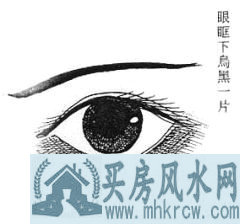 女性面相算命图解