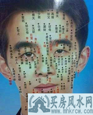 五官看相图解 五官看相图解