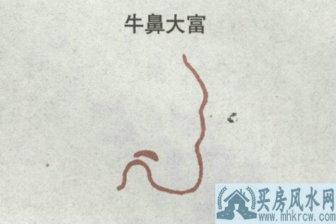 牛鼻大富 牛鼻大富