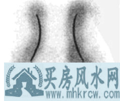 牛鼻 牛鼻