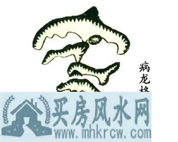 病龙格