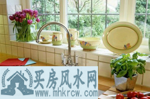 厨房里适合摆放什么花草