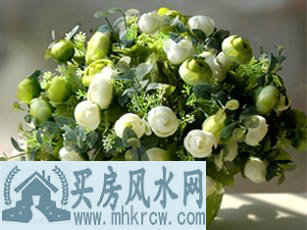 ���������ʺϰڷ�ʲô����ֲ��