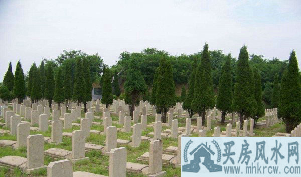 1988������������