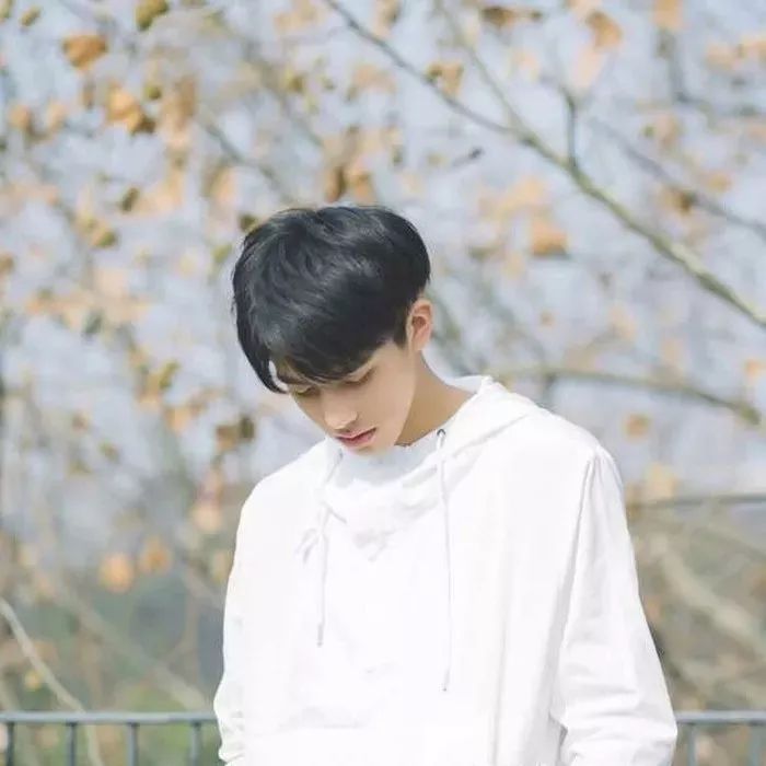 �������ɻ�ʲô����