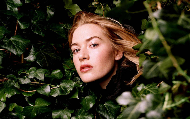 从面相看命运,人的命运与面相关系 从面相看命运,人的命运与面相关系