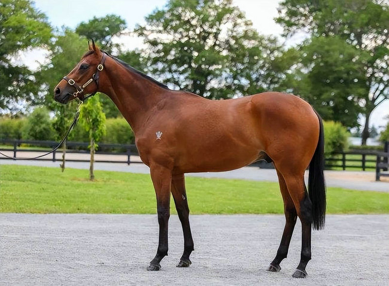 Ů������������ߵĻ������ ������������������ʲô��˼��