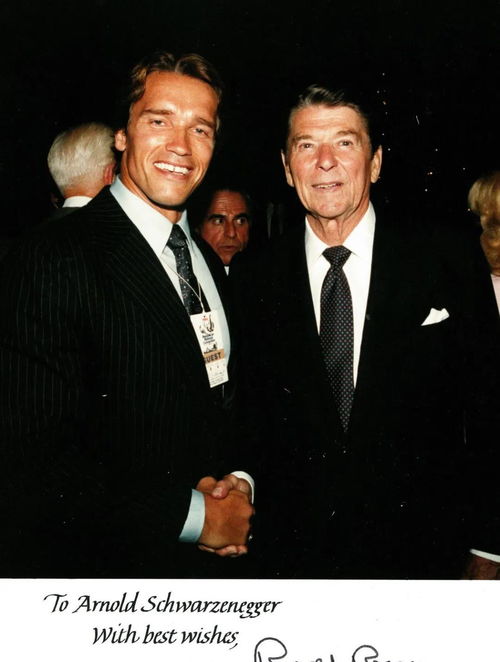 ʮ���ճ������������˺ò���