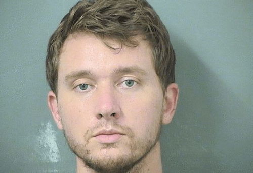 女孩名字什么字最好听的名字大全集 1000个好听女孩名字 女孩名字什么字最好听的名字大全集 1000个好听女孩名字