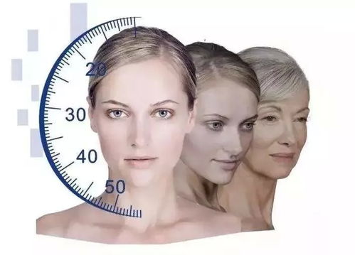 �������������Ƿ�Ӱ�����ǶԶ����̬�Ⱥ����(�����������Ի᲻��Ӱ�����ǶԶ����̬��)