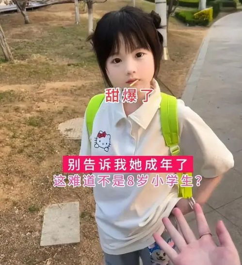 ʮ����Ф�������� �����˳�