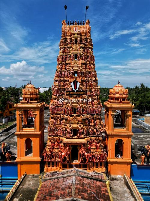 利刃出击的演员东宝 利刃出鞘冬宝 利刃出击的演员东宝 利刃出鞘冬宝