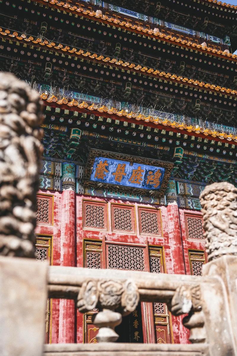 1983����������2025���˳�