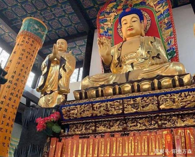 ��õ��鷿�ķ�ˮ����