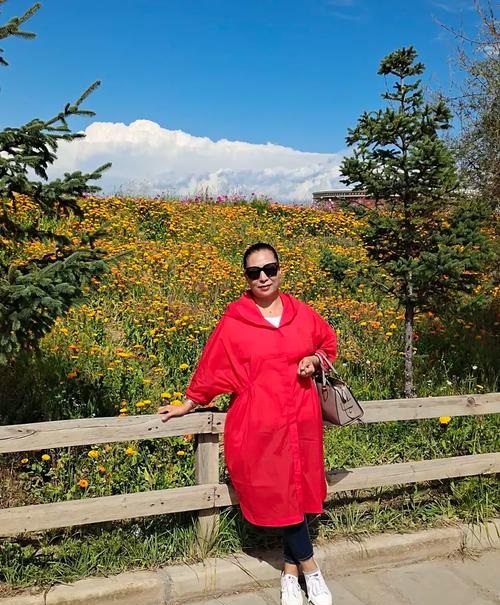 鳵ƺź뼪ǷӰǵ˸е뵣