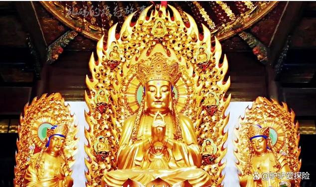 �׾������[�׾��������õ�����ʲô��]