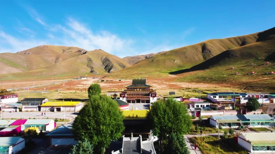 زǷܰǿӦ(زѡ񲻵ӦӰ)