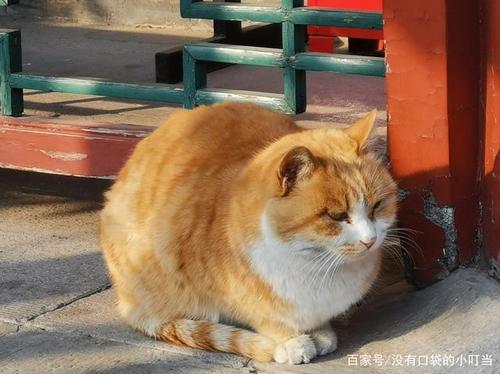 �⾩�ǲ��Ǹ�л������