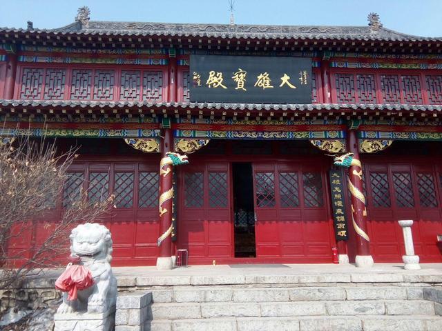 ������ţ���������� ��ţ�����յ�������������