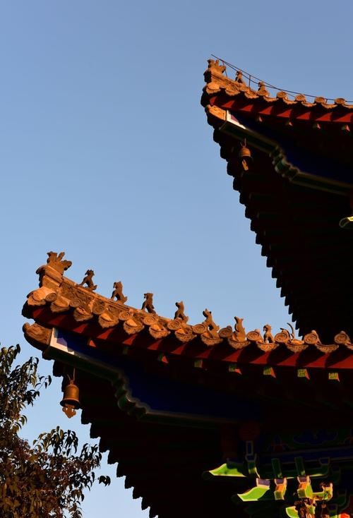 �±��û�ɴ�����������û��������ѣ����˻�