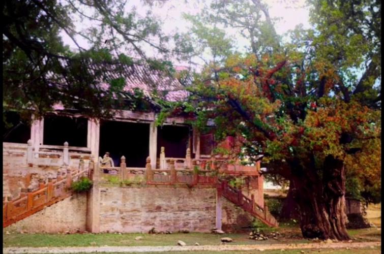 ���ϴ��ǹ���һ����Ա��