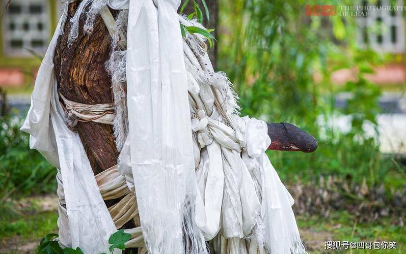 ��尮���һ��ȫ�����