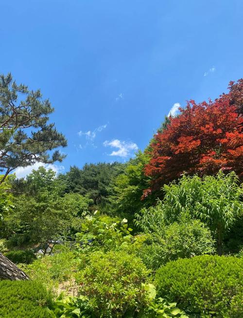 �ƴ��ɽ�ǩ��ʽ����ǩ���������Ӷ��к�Ӱ��(�ƴ��ɽ�ǩ��ʽ�м��������Ӷ��Ƿ�Ӱ�����ǩ��Ե����)