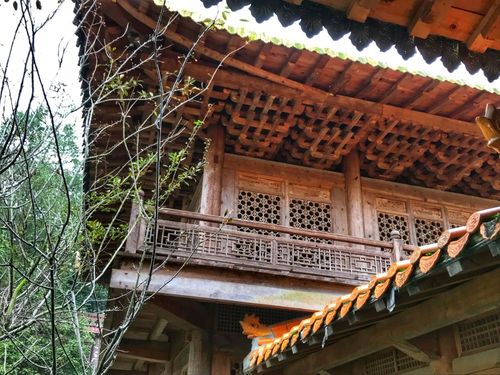 2025ţ˺ϲ ţԸʲô˼