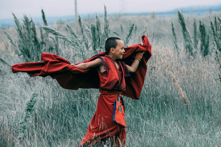 ľ������������Щ��ľ�������������