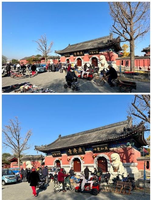 ʮ������������