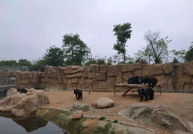 抽签诸葛神算测字能否助我突破困境与束缚(抽签诸葛神算测字的字义能否影响我们的未来发展方向) 抽签诸葛神算测字能否助我突破困境与束缚(抽签诸葛神算测字的字义能否影响我们的未来发展方向)