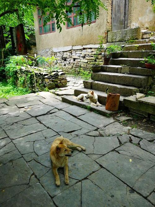 ǩ8ǩǩ_ϵ_λ(ǩ8ǩǩϵŸλ)