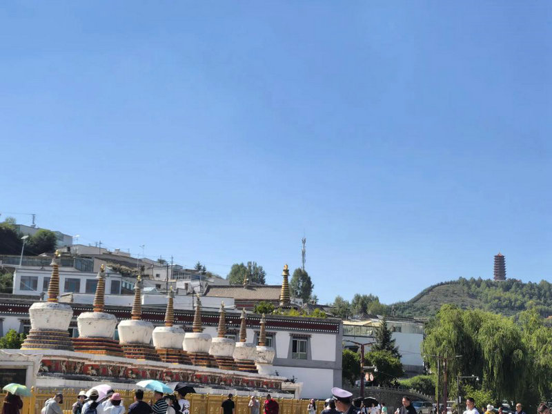 ʨ�����ĸ�Ѫ������������ʨ������ʲôѪ��