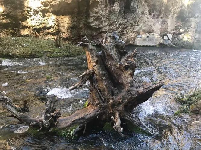 佛祖灵签21签求婚姻_阅读习惯恐成阻碍吗(佛祖灵签21签求婚姻会不会注定孤独终老啊) 佛祖灵签21签求婚姻_阅读习惯恐成阻碍吗(佛祖灵签21签求婚姻会不会注定孤独终老啊)